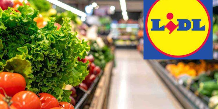 Lidl lancia il mese dei ribassi folli: affari imperdibili su alimenti,, i dettagli