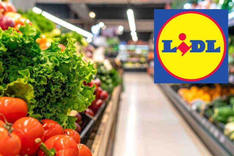 Lidl lancia il mese dei ribassi folli: affari imperdibili su alimenti,, i dettagli