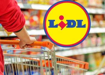 offerte lidl