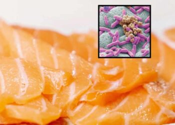 Rischio listeria, salmone affumicato