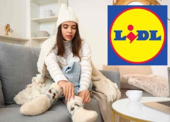 Alla Lidl con 40 euro dici basta ai termosifoni e alle spese folli, ecco quanto costa