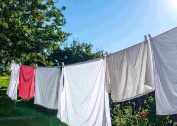 Lenzuola asciutte nella metà del tempo: il trucco dell'autunno per un bucato, tutti i dettagli