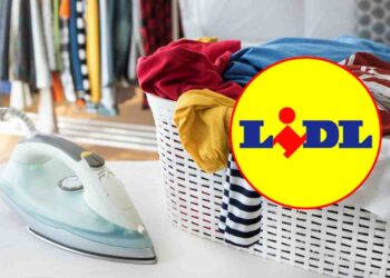lidl ferro da stiro eurospin