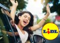 lidl offerta