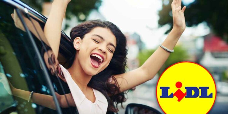 lidl offerta