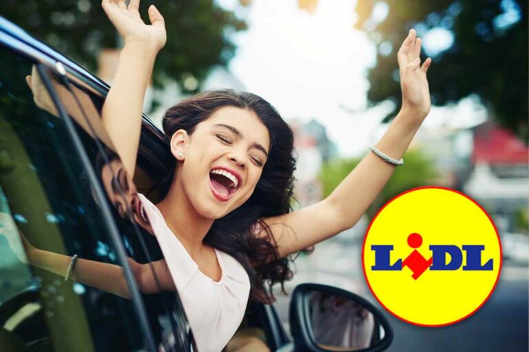 lidl offerta