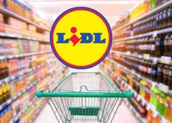 le offerte sottocosto di lidl a novembre