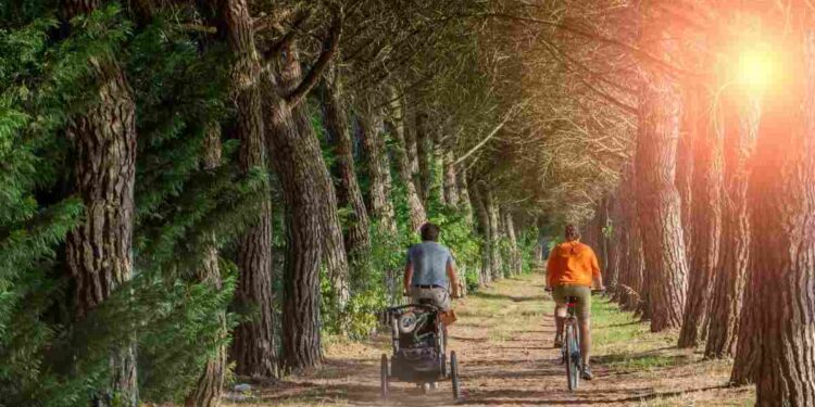 Sembra di toccare il cielo con un dito: il sentiero più bello d'Italia che ti mette in pace