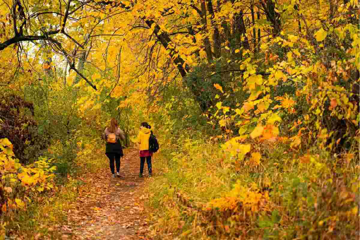 Sembra di toccare il cielo con un dito: il sentiero più bello d'Italia che ti mette in pace , tutti i dettagli
