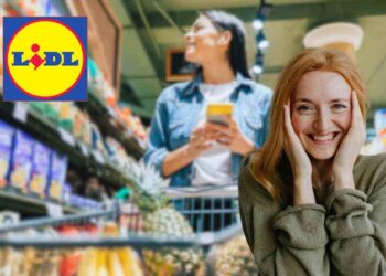 spesa lidl 500 euro