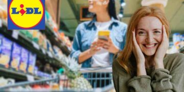 spesa lidl 500 euro