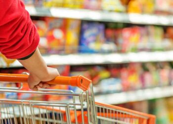 Sono sempre costati una fortuna, pochi possono permetterseli