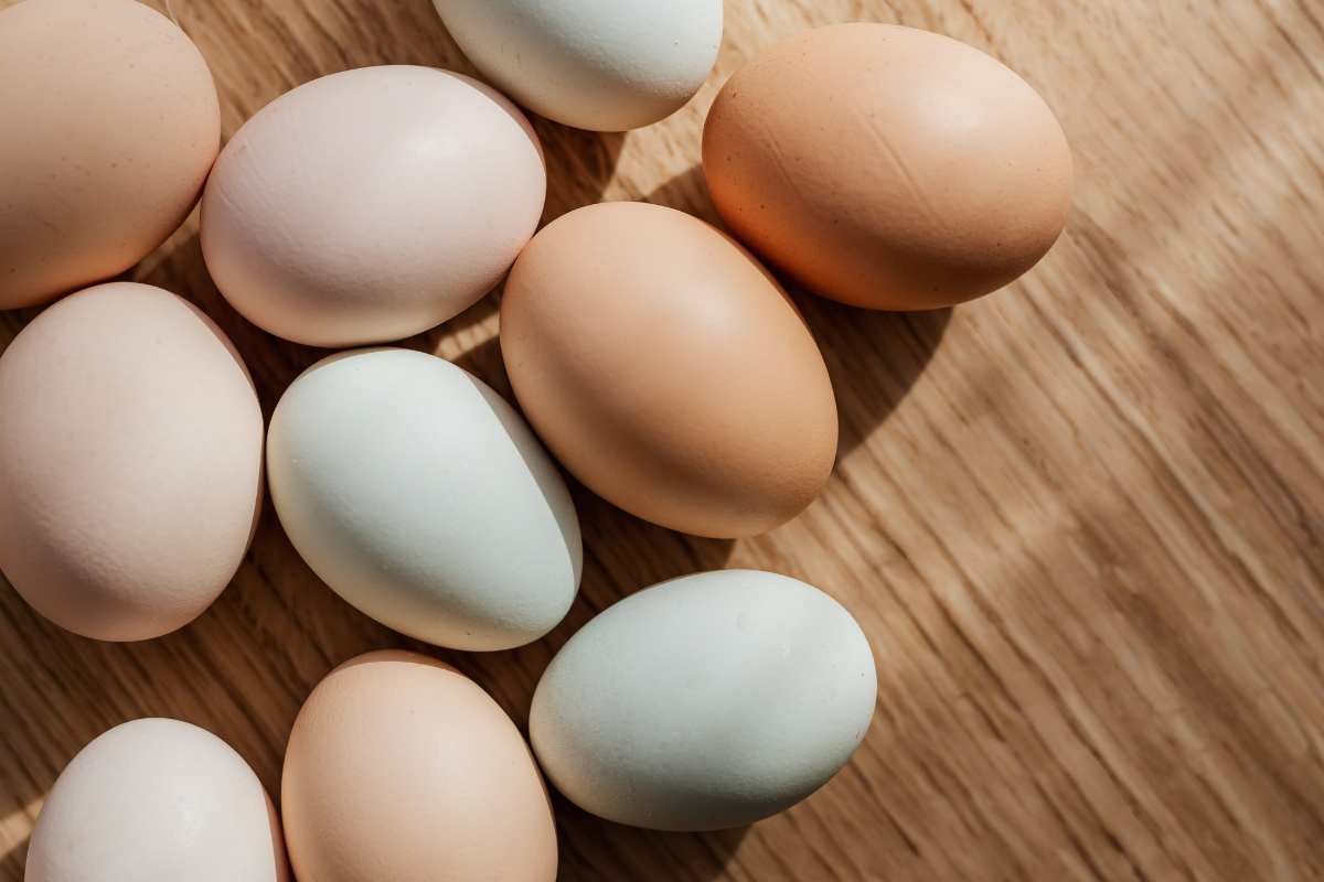 ritiro uova biologiche allerta