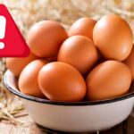ritiro uova biologiche allerta