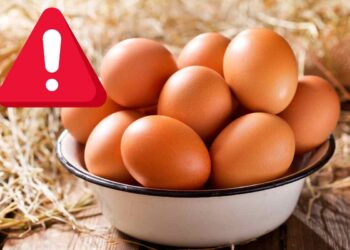 ritiro uova biologiche allerta