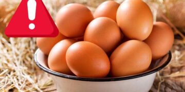 ritiro uova biologiche allerta
