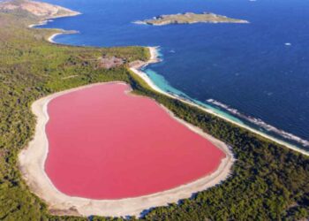 Con una lunghezza di circa 600 metri e una larghezza di 250 metri, il lago Hillier è celebre per il suo colore rosa permanente che non cambia