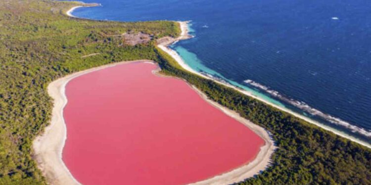 Con una lunghezza di circa 600 metri e una larghezza di 250 metri, il lago Hillier è celebre per il suo colore rosa permanente che non cambia
