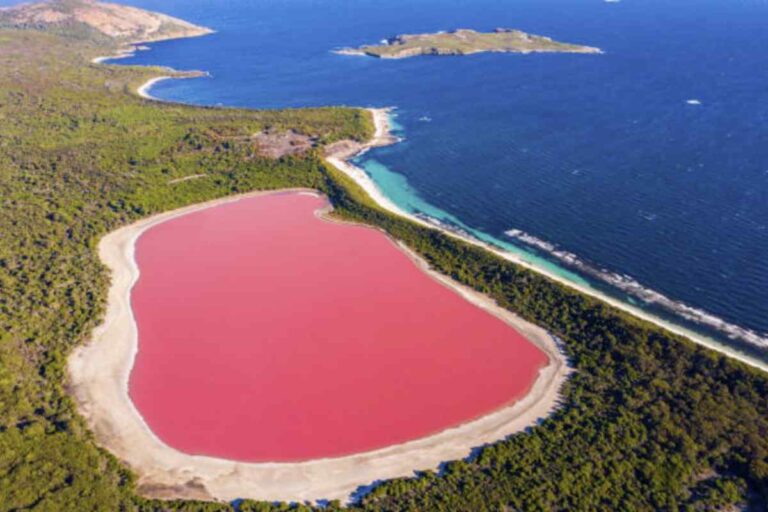 Con una lunghezza di circa 600 metri e una larghezza di 250 metri, il lago Hillier è celebre per il suo colore rosa permanente che non cambia