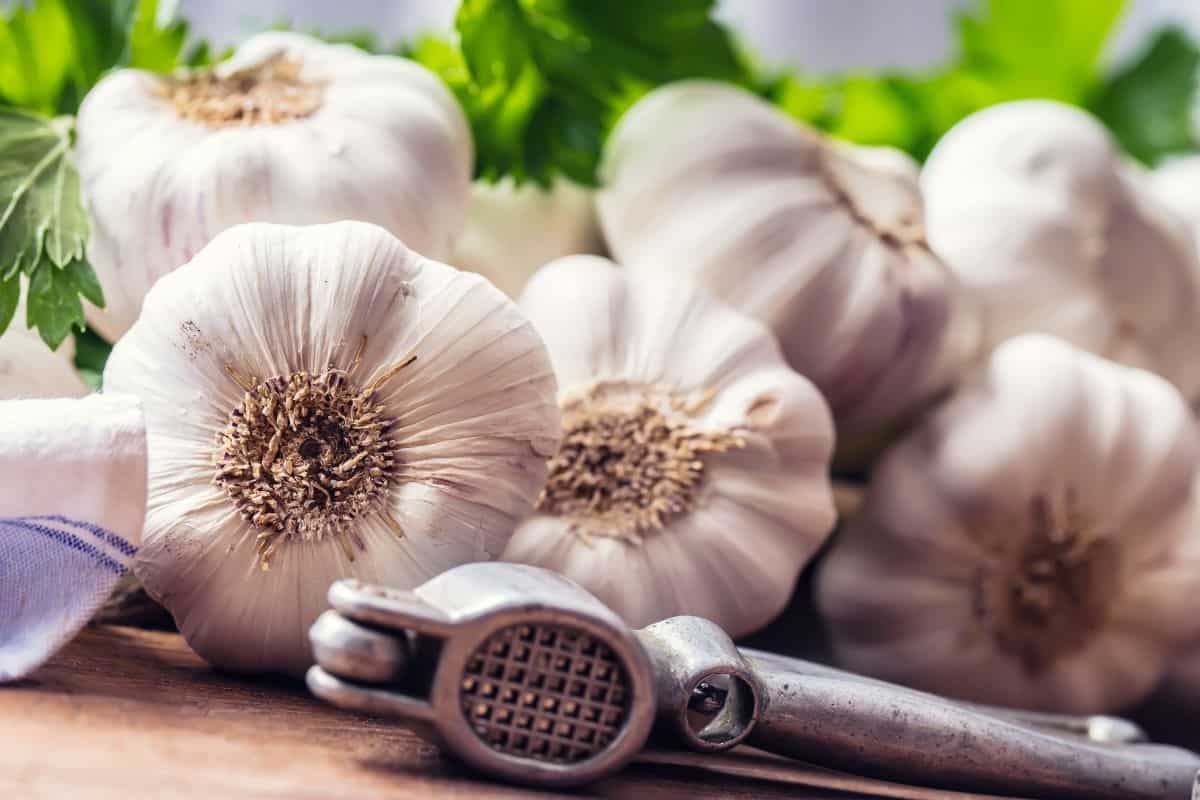 come sostituire il sale in cucina