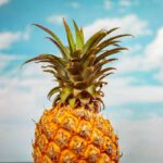 Ananas brucia grassi: mito o verità