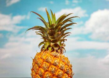 Ananas brucia grassi: mito o verità