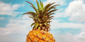 Ananas brucia grassi: mito o verità