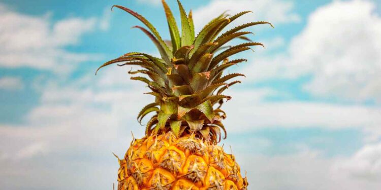 Ananas brucia grassi: mito o verità