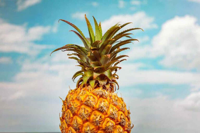 Ananas brucia grassi: mito o verità