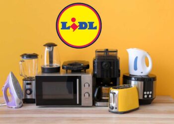 elettrodomestico lidl in offerta