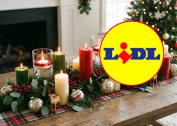 lidl profumatore casa natale