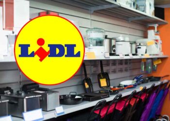 lidl Silvercrest impastatrice planetaria con frullatore e taglia verdure