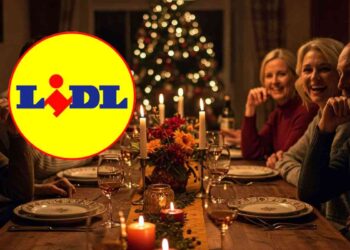 lidl raclette grill a 29 euro