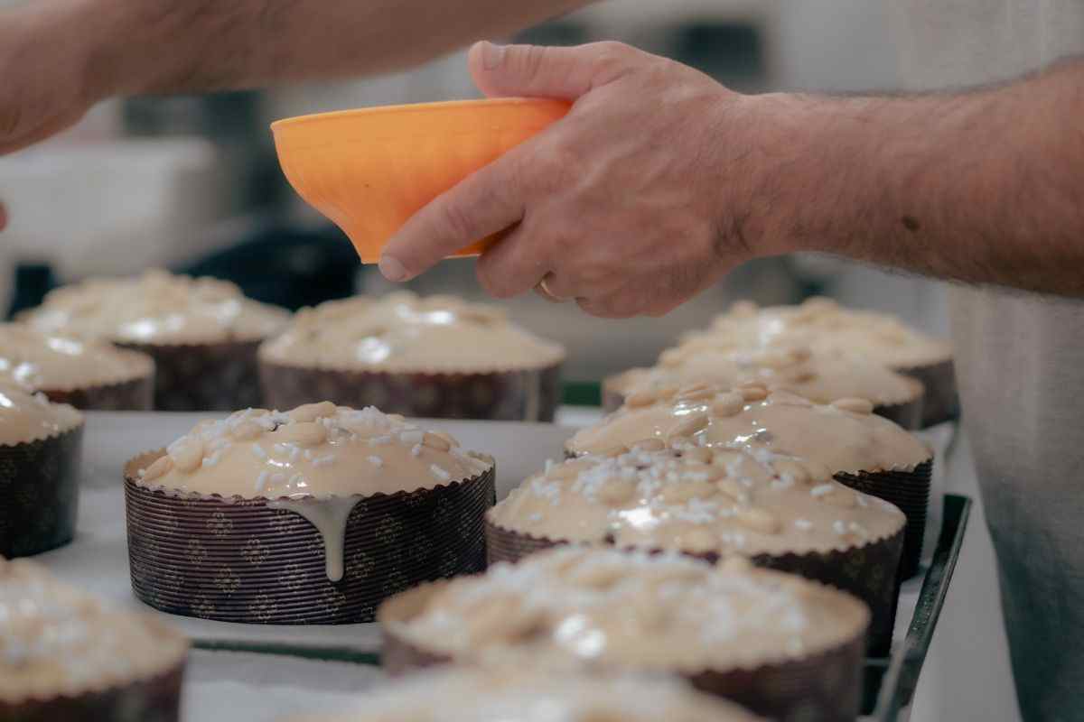 panettone ricetta facile e veloce
