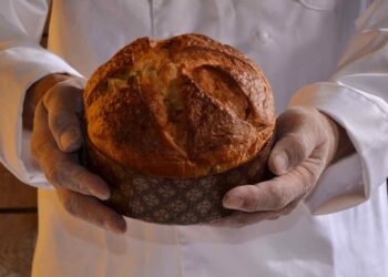 panettone ricetta facile e veloce