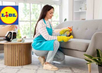 l'elettrodomestico rivoluzionario in super offerta da Lidl