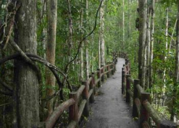 Il cammino che attraversa il cuore dell'Italia, da mare a mare
