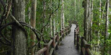 Il cammino che attraversa il cuore dell'Italia, da mare a mare