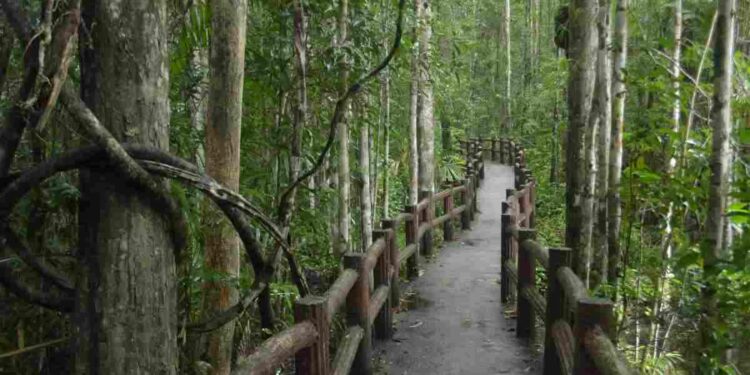 Il cammino che attraversa il cuore dell'Italia, da mare a mare