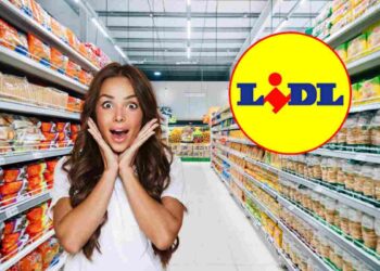lidl ferro da stiro silvercrest