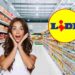 lidl ferro da stiro silvercrest