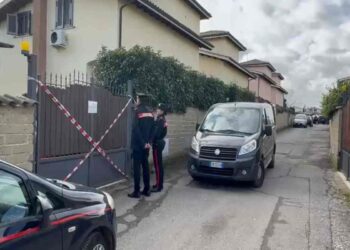 Omicidio Federica Torzullo