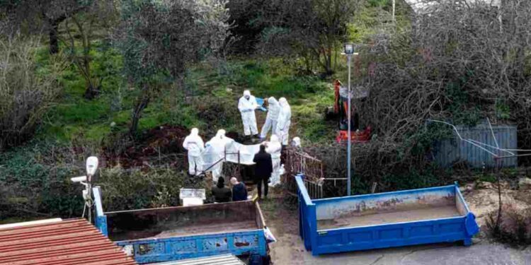 Femminicidio Federica Torzullo