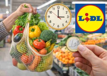 frutta e verdura a 1 euro lidl