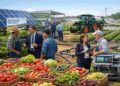 Lollobrigida rilancia il sostegno al gasolio agricolo