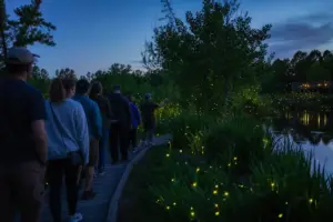 Ninfa 2, tornano le serate delle lucciole nel parco Pantanello: date, percorsi e come partecipare