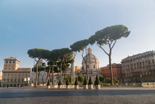 Alberi a Roma