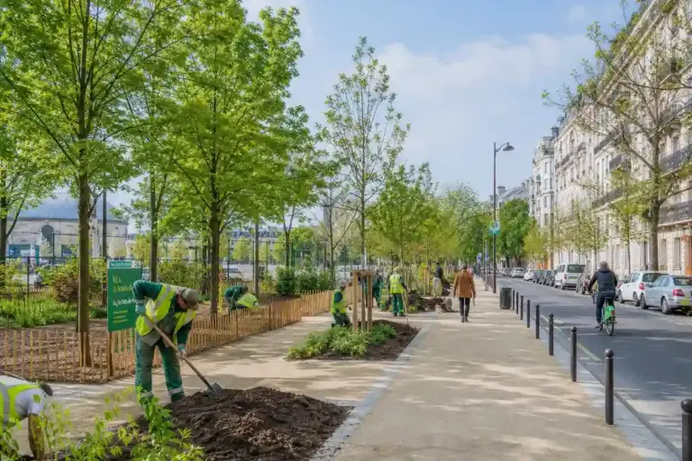 Roma, il bilancio degli alberi: 29mila abbattimenti e 67mila nuove piantumazioni, cosa cambia nel verde urbano