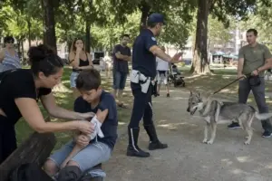 Ciampino, bimbo di 12 anni azzannato da un cane lupo nel parco Aldo Moro: panico tra le famiglie