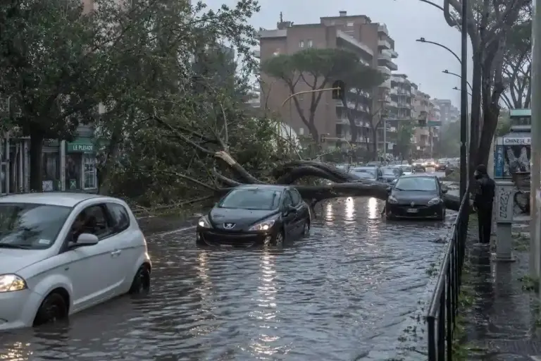Strada urbana allagata con auto in coda e un grande albero caduto che blocca la carreggiata sotto la pioggia